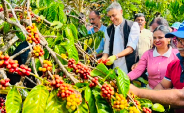 ಸುದ್ದಿ ಬಿಟ್ಟು ಕಾಫಿ ಕೊಯ್ಲಿಗೆ ಇಳಿದ ಪತ್ರಕರ್ತರು: ಕೊಡಗಿನಲ್ಲಿ ರೈತರೊಂದಿಗೆ ಪತ್ರಕರ್ತರ ಸಂಭ್ರಮದ ದಿನ